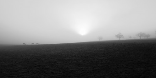 campagne-brouillard