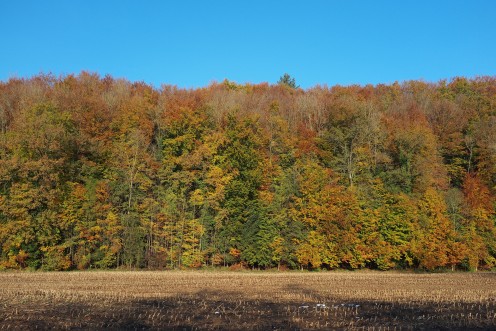 couleurs-automnales