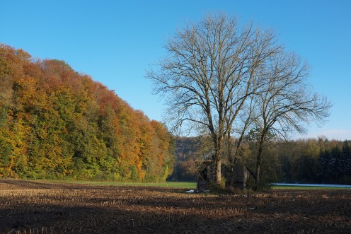 couleurs-automne