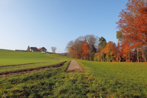 illens-automne