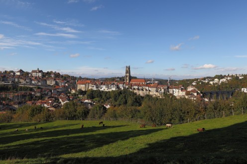 fribourg