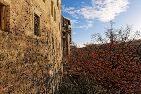 jardin-lucien-nussbaumer