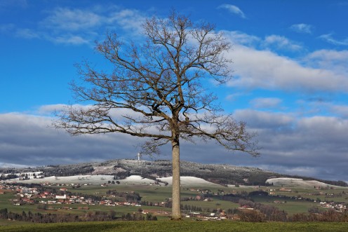 Le Mont Gibloux vu du grand chêne-maître d'Echarlens