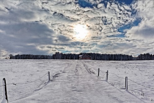 Contre-jour enneigé aux Monts de Riaz