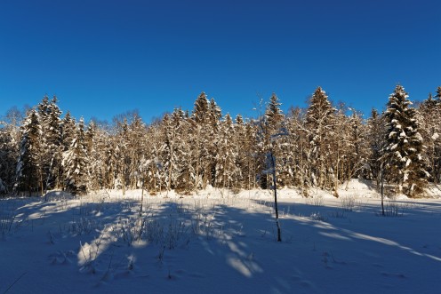 L'étangs des Bugnons gelé
