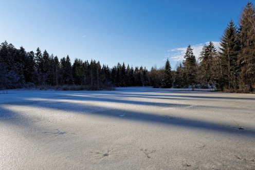 Ombres et lumières sur l'étang des Bugnons