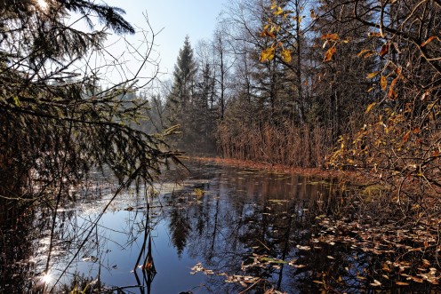 L'étang des Bugnons aux Monts-de-Riaz invite à la rêverie