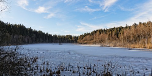 L'étang des Gurles se couvre de brume