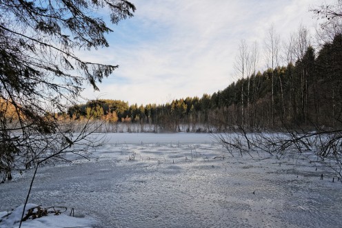 L'étang des Gurles gelé