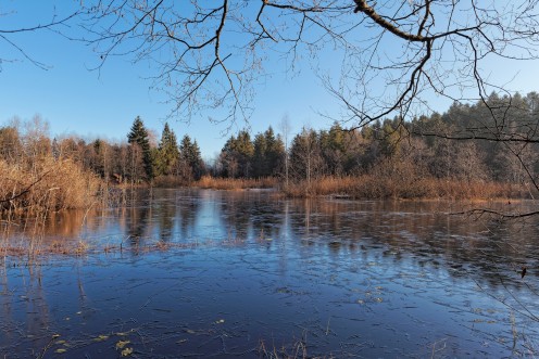 Etang des Bugnons aux Monts-de-Riaz