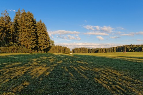Les Monts de Riaz, un soir d'été au soleil rasant
