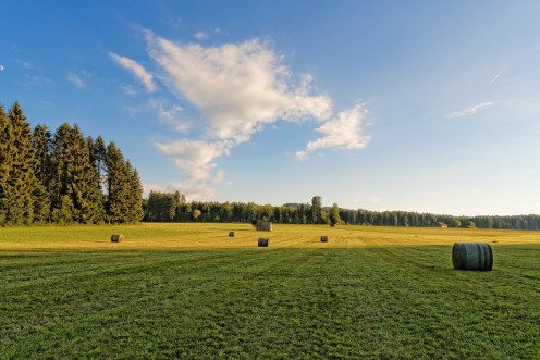 Le temps des moissons aux Mont de Riaz
