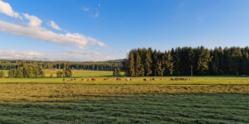 Fin de journée aux Mont de Riaz