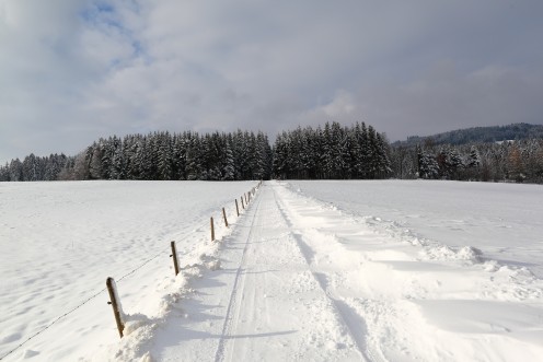Aux Monts de Riaz, la bise glaciale forme des congères