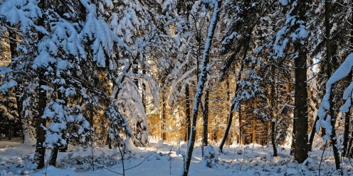 Monts de Riaz - Etangs des Bugnons