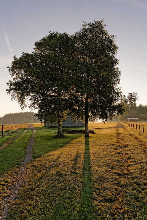 Contre-jour aux Monts de Riaz