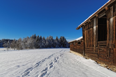 Les Monts de Riaz enneigés au lever du jour