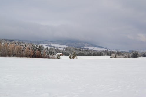Petite balade hivernale aux Monts de Riaz