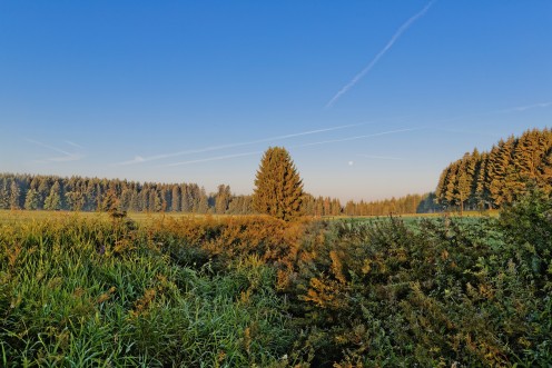 Au dessus d'un petit ruisseau aux Monts de Riaz