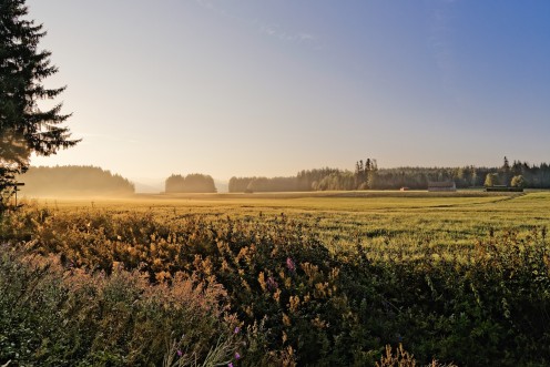 Le soleil joue avec la brume aux Monts de Riaz