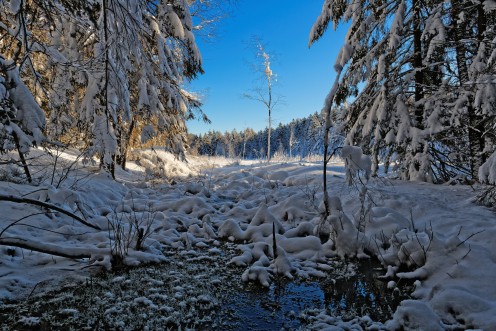 Le poids de la neige recouvre l'étang des Bugnons