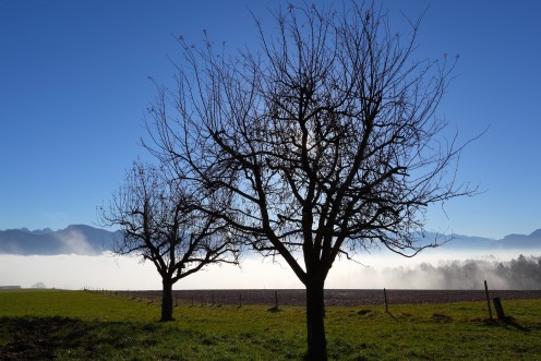 Ciel d'un bleu vif au-dessus de Sorens