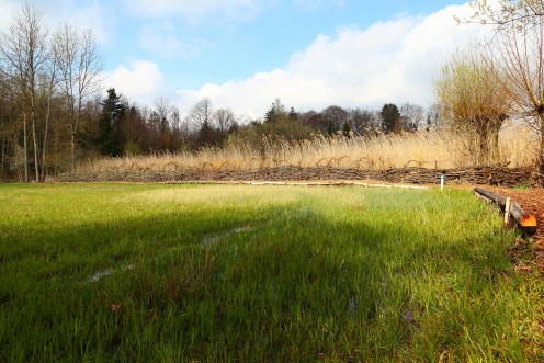 marais-guin-dudingen