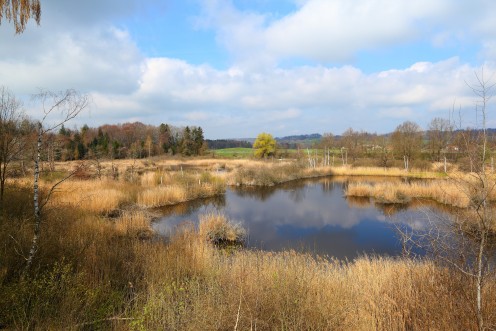 marais-guin-etang-tour