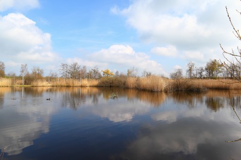 marais-guin-etang