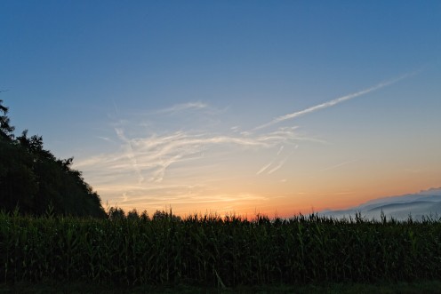 grangeneuve-lueurs-jour