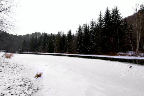 hauterive-sarine-gelee-g