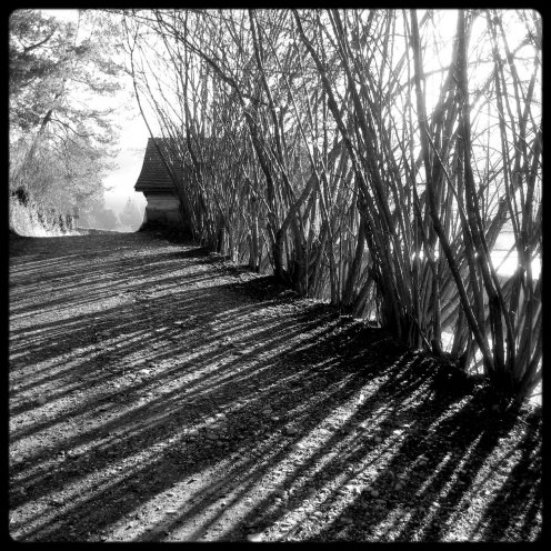 hauterive-sentier-pedestre