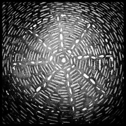 hauterive-sol-abbaye