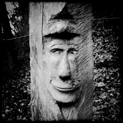 hauterive-visage-sculpte-1