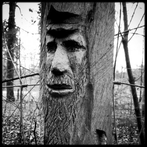 hauterive-visage-sculpte-4