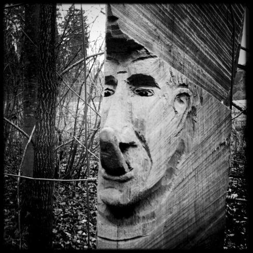 hauterive-visage-sculpte-5