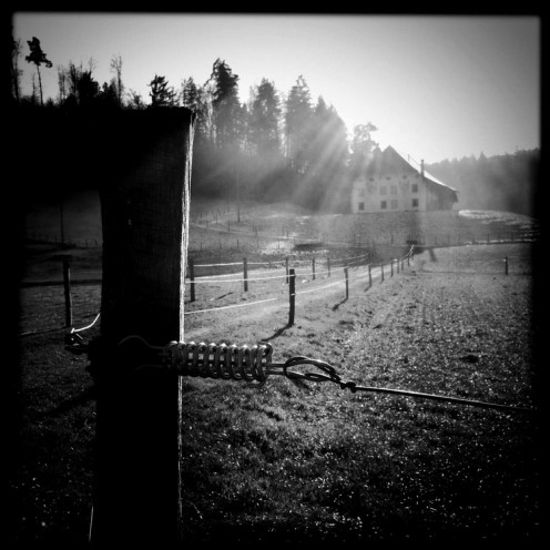 monastere-hauterive-5