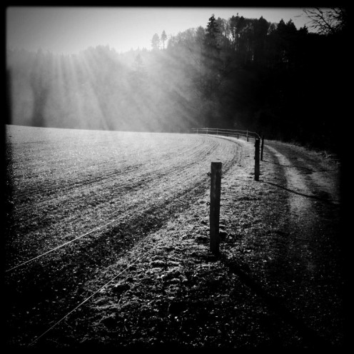 monastere-hauterive-6