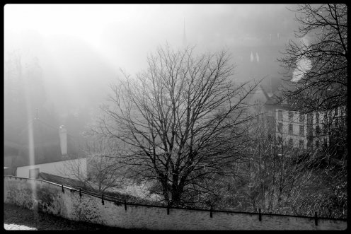 soleil-abbaye-hauterive