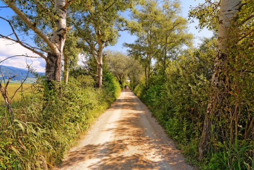 chemin-ile-saint-pierre