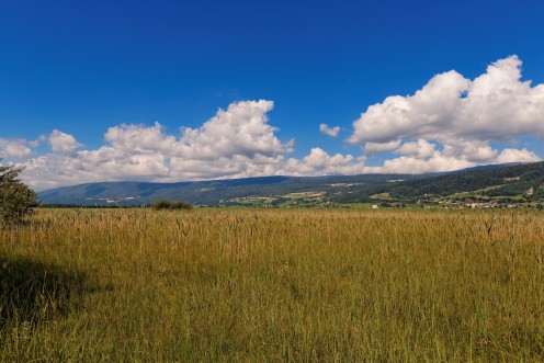 ile-saint-pierre-landeron