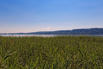 ile-saint-pierre-sauvage