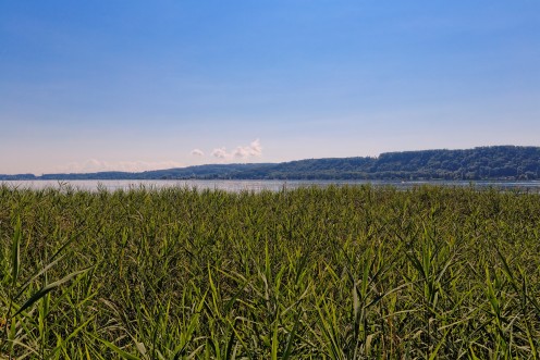ile-saint-pierre-sauvage