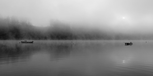 brume-lac-gruyere