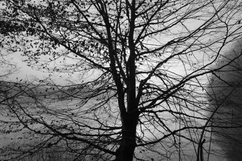 lever-jour-brumeux
