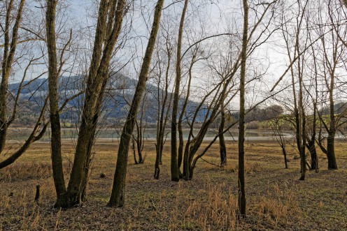 morlon-lac