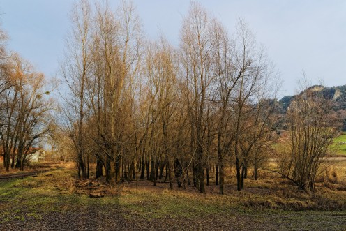 terrain-marecageux-morlon