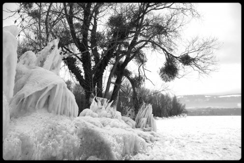 lac-neuchatel-gele-2