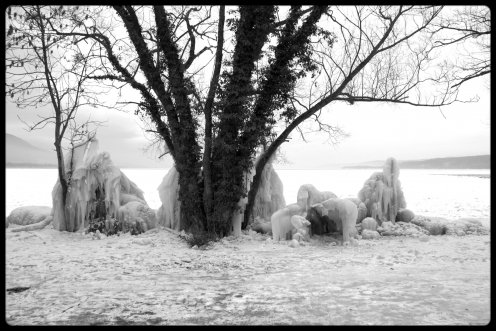 lac-neuchatel-gele