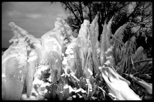 lac-neuchatel-glace-5